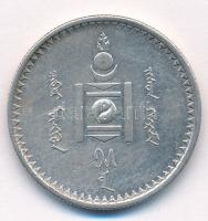 Mongólia 1925. 50m Ag T:1- kis patina, ujjlenyomat Mongolia 1925. 50 Mongo Ag C:AU, small patina, fingerprints Krause KM#7
