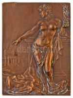 Ifj. Vastagh György (1868-1946) 1909. "Dr. Mikó Imre - Gr. Kemény József / Erdélyi Múzeum Egyes...