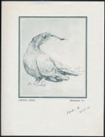 Lendvai Antal (1949-1995): Ökológia VI. 1981. Ofszet, papír, jelzett, 15×13 cm