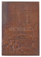 Franciaország DN "Vendéenne" Br emlékplakett, peremén "BRONZE" jelzés. Szign.: R...