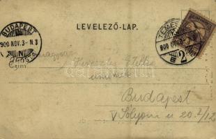 1900 Temesvár, Timisoara; Szent György tér, villamosok, Várneky A. üzlete. Polatsek féle könyvkeresk...