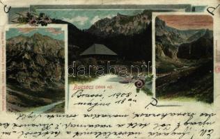 1908 Bucsecs-hegység, Butschetsch, Bucegi (Brassó, Kronstadt, Brasov); Wilh. Hiemisch floral