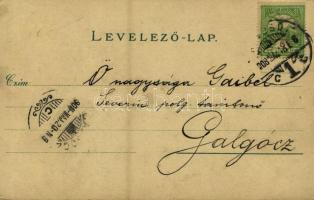 1908 Bucsecs-hegység, Butschetsch, Bucegi (Brassó, Kronstadt, Brasov); Wilh. Hiemisch floral