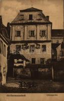 1918 Nagyszeben, Alt-Hermannstadt, Sibiu; Löwengrube / villa (EK)