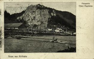 1907 Tibau, Ciben, Pappfalva (Carlibaba, Kirlibaba, Bukovina, Bucovina); Felspartie / wooden bridge (EK)