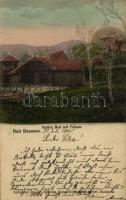 1905 Báznafürdő, Baile Bazna, Bad-Baassen; Hideg fürdő és szikla / Kaltes Bad mit Felsen / cold spa and rock
