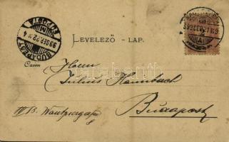 1899 (Vorläufer!!!) Szebenjuharos, Hohe Rinne, Paltinis; Grüss aus den Siebenbürgischen Karpaten! Pr...