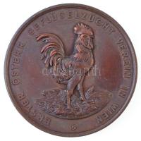 Ausztria ~1900. Első Osztrák Baromfitenyésztő Egyesület Bécsben Br emlékérem (50mm) T:1- Austria ~1900. First Austrian Poultry Breeding Association in Vienna Br commemorative medal (50mm) C:AU