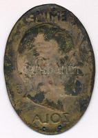 Beck Ö. Fülöp (1873-1945) DN "Emile Zola" lemezplakett, akasztásra szolgáló lyukakkal (40x...