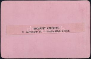 cca 1880 Budapest, Városligeti-tó, keményhátú fotó Klösz György műterméből, 7×10,5 cm