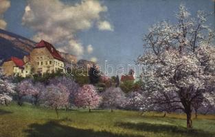 Tirol, Obstblüte / fruit trees in bloom (EM)