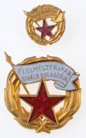 ~1960-1970. Élelmiszeripar Kiváló Dolgozója aranyozott, zománcozott fém kitüntetés + miniatűr T:1-