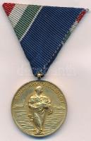 1954. 1954. évi Dunai Árvízvédelemért aranyozott Br kitüntetés mellszalaggal T:1-