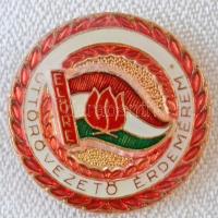 ~1970-1980. "Előre - Kiváló Úttörővezető" zománcozott kitüntetés mellszalagon, miniatűr ki...