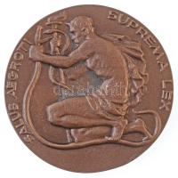 Reményi József (1887-1977) 1955. "Korányi Frigyes Emlékére - A Magyar TBC Orvosok / Salvus Aegr...