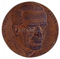 DN "Pattantyús Á. Géza 1885-1956" egyoldalas, öntött Br plakett. Szign.: VL (118mm) T:1-