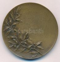 DN "Verdi" Br emlékérem "Huguenin" gyártói jelzéssel (50mm) T:1-,2 kis patina
N...