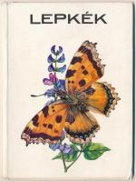 5 db modern grafikai lap lepkékkel és pillangókkal a saját tokjában, Zombory Éva szignójával / 5 modern graphic art motive cards with butterflies in its own case, signed by Éva Zombory