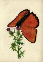 5 db modern grafikai lap lepkékkel és pillangókkal a saját tokjában, Zombory Éva szignójával / 5 mod...
