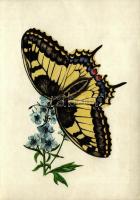 5 db modern grafikai lap lepkékkel és pillangókkal a saját tokjában, Zombory Éva szignójával / 5 mod...