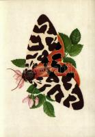 5 db modern grafikai lap lepkékkel és pillangókkal a saját tokjában, Zombory Éva szignójával / 5 mod...