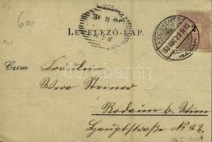 1898 Budapest XIV. Vajda-Hunyad vára, történelmi főcsoport, este