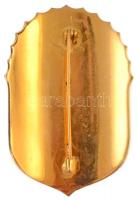 DN "Vitézi Jelvény" modern, zománcozott jelvény T:1