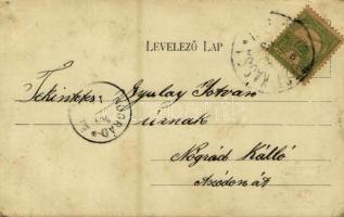 1904 Gödöllő, Királyi kastély, park. Divald Károly 503. sz. (EK)