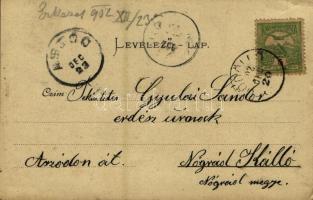 1902 Gödöllő, Királyi kastély. Ripk F. "Gödöllő" című művéből (EK)