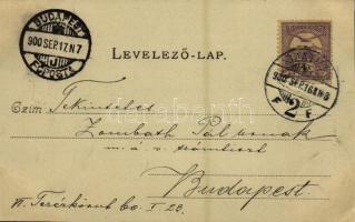 1900 Szatmárnémeti, Szatmár, Satu Mare; Kir. Törvényszéki palota, Színház. Reizer János kiadása / co...