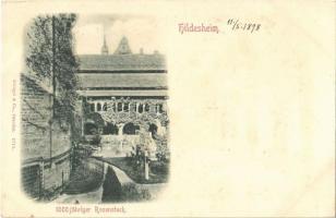 1898 Hildesheim, 1000 jähriger Rosenstock (fl)