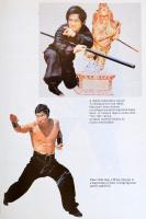 Dr. Ujvári Miklós: A délkelet-ázsiai harci művészetek
Magánkiadás, 1986. Kiadói kartonálásban