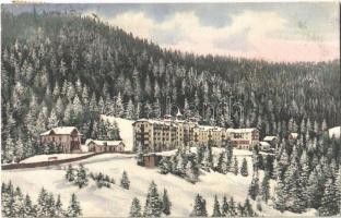 Semmering, Hotel Panhans und Villa Lamprecht in winter