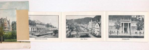 Karlovy Vary, Karlsbad; Villa Schäffler, Villa Silva-Savoy-Westend-Hotel, Villa Klemm. leporellocard