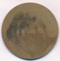 Búza Barna (1920-2010) 1961. "XIX. Kerületi Ady Endre Úti Iskola 1911-1961" Br emlékérem (...