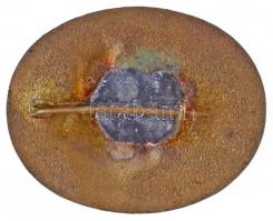 DN "III. Béla Szakképző Iskola Szentgotthárd" zománcozott, aranyozott fém jelvény (30x23mm...