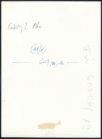 1960 Kodály Zoltán (1882-1967) zeneszerzőről készített publikált fotó, 18×13 cm