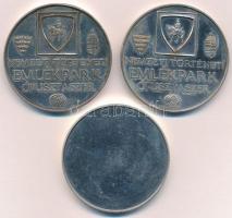 1996. "Nemzeti Történeti Emlékpark Ópusztaszer / Feszty Árpád" ezüstözött fém emlékérem (4...