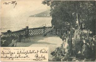 1905 Abbazia, Opatija; Terrasse im Park, cacti