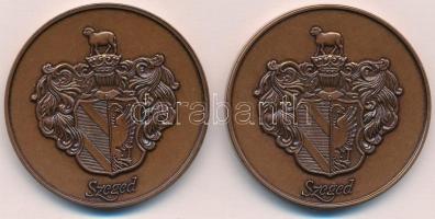 Fritz Mihály (1947-) DN "Szeged / Magyarok Nagyasszonya székesegyház" Br emlékérem (42,5mm...