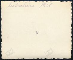 A Gyöngyös-mátrafüredi kisvasút a mátrafüredi állomáson, hátoldalon feliratozva, 6×7 cm