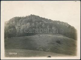 cca 1915 A Selmecbánya (Felvidék) melletti Szitnya-hegy völgye, háttérben a várral, fotó, 9×12 cm