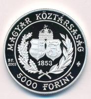 2003. 5000Ft Ag "150 éves a Budapesti Filharmóniai Társaság" T:PP Adamo EM187