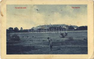 1910 Temesvár, Timisoara; vár (Hunyadi kastély) / castle (fl)