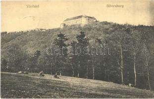 1911 Cseszte, Castá; Vöröskő vára. Levius P. S. kiadása / Bibersburg / Hrad Cerveny Kamen / castle