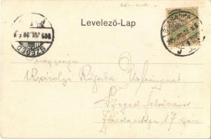 1905 Szabadka, Subotica; M. kir. Törvényszék. Vig Zsigmond Sándor kiadása / court