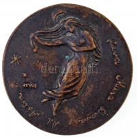 Csúcs Ferenc (1905-1999) 1975. "Varga Nándor Lajos 1975" Br emlékplakett, peremén sorszám ...