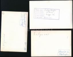 cca 1950-1960 Salgóvár, 3 db feliratozott fotó, 9×14 és 10×15 cm