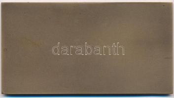 DN "Országház" Br plakett (121x65mm) T:1