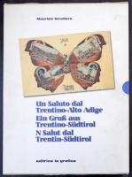 Maurizio Scudiero: Un Saluto dal Trentino-Alto Adige, Ein Gruss aus Trentino-Südtirol 1889-1939. Vol...